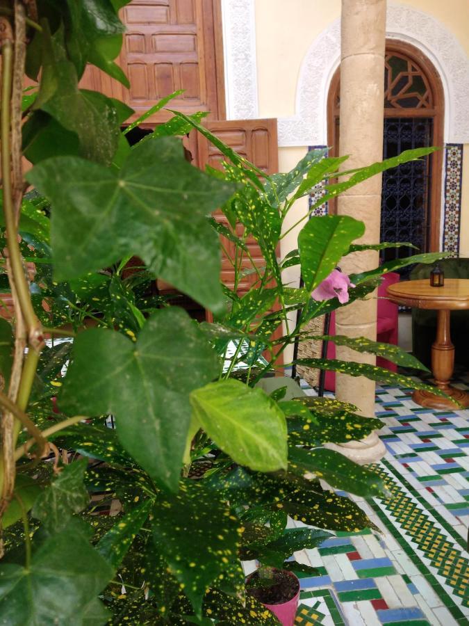 Riad Dar Zouhour Rabat Exterior foto